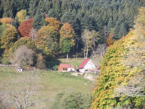 Bed & Breakfast Ferme Im-berg