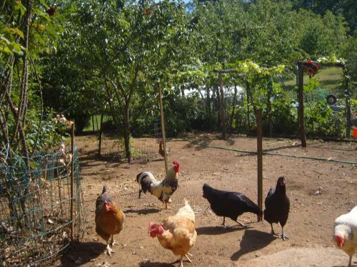 La Jaubertie