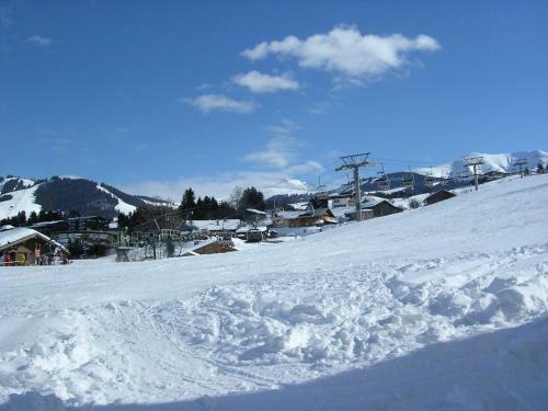Apartamento Chalet Monte-pente