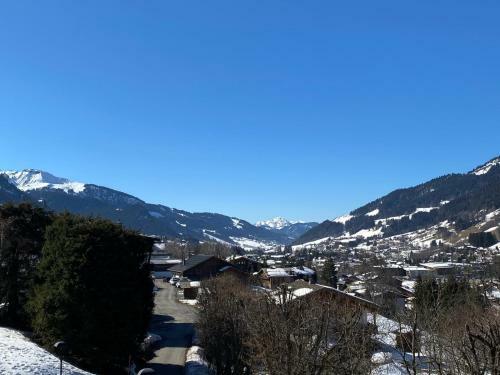 Apartamento Chalet " Jeane " Proche Centre