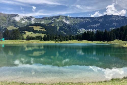 Apartamento Chic And Cosy Apt With Balcony In Megeve