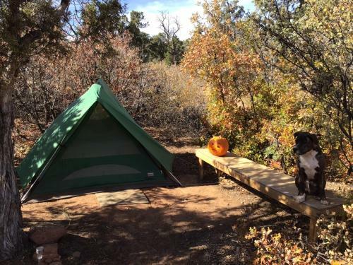 Indian Canyon Ranch