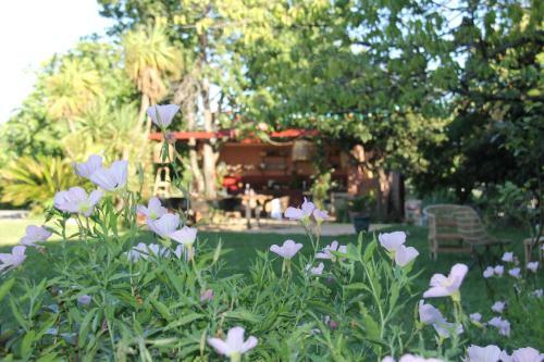 Domaine Sesquier Mas D'exception Jasmin
