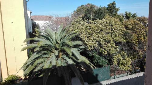 Apartamento M�ze, 400 M�tres De La Plage