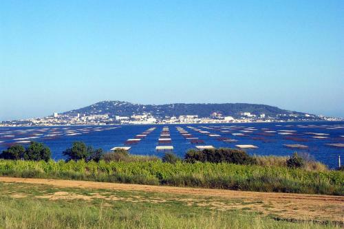 Apartamento Port Mezua