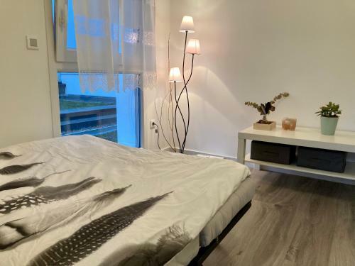 Apartamento Appartement Muse Proche Gare