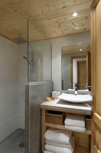 Chalet Zebra