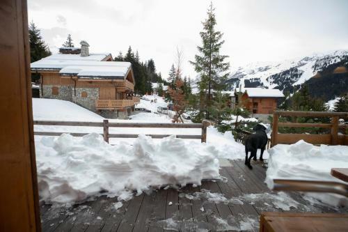 Chalet Echavidre