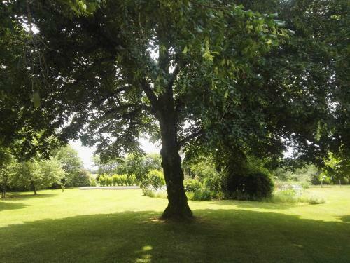 Bed & Breakfast Le Chene Vert