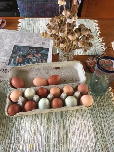 Cornwall Orchards Bed & Breakfast