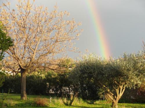 Hostal La Casa Nert
