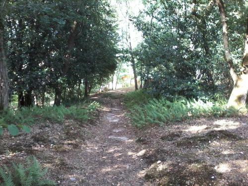 Au Bout Du Chemin
