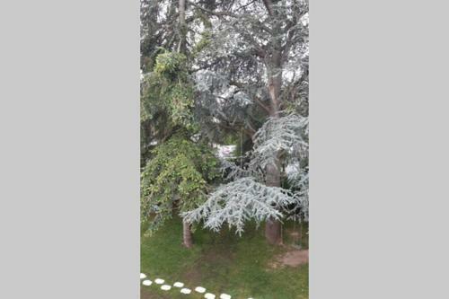 Apartamento Logement 2/4 Pers Jardin /piscine Milly La Foret