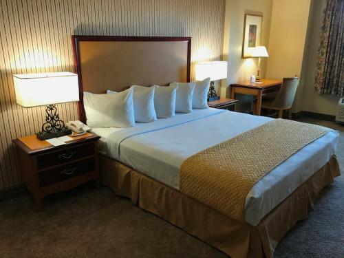 Gold Strike Hotel & Casino