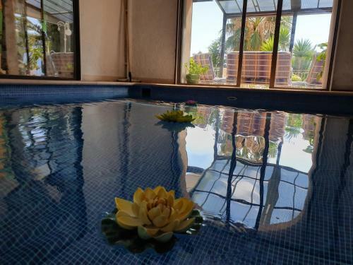 Apartamento Villa Panoramica