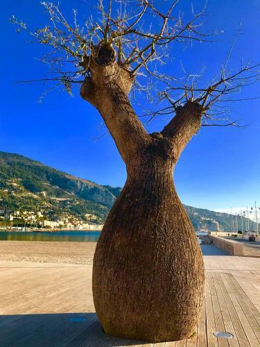 Apartamento Longue 1 Menton