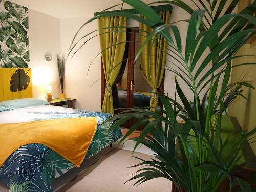 Apartamento Caterina