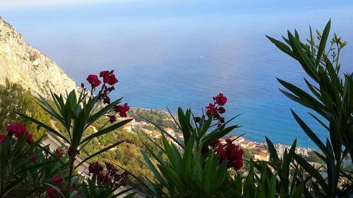 Apartamento Caterina