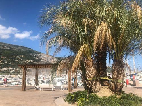 Apartamento La Petite Barque