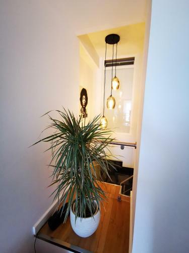 Apartamento Magnifique Duplex Vue Mer