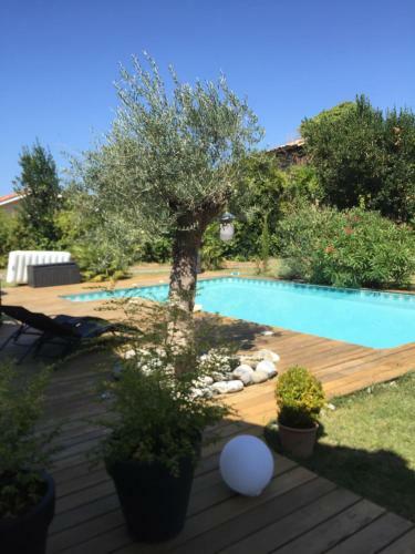 Bed & Breakfast Chambre D'h�te De La Canop�e
