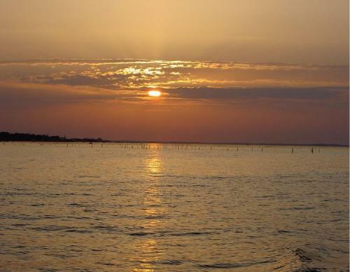 G�te Proche Du Bassin D'arcachon
