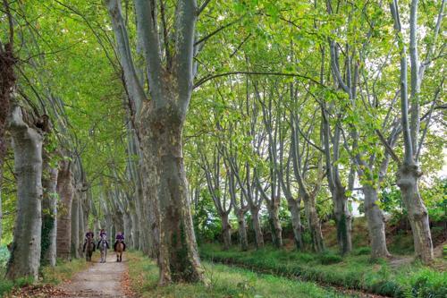 16 Chemin Des Ratequats