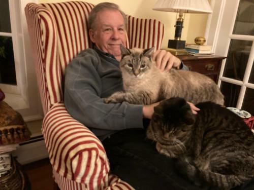 Bed & Breakfast The Birch Grove