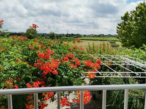 G�te En Provence Lavande