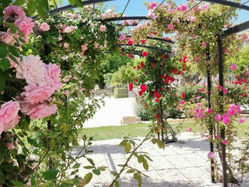 G�te En Provence Lavande