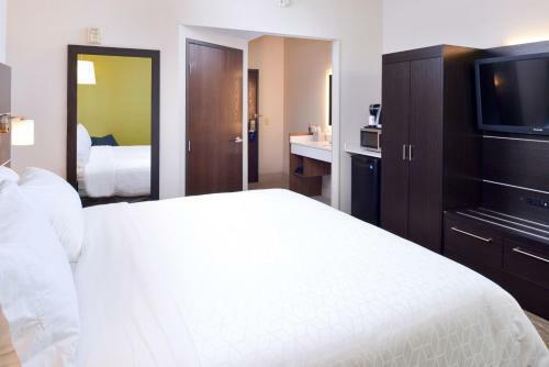 Hotel Holiday Inn Express Wixom