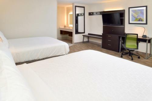Hotel Holiday Inn Express Wixom