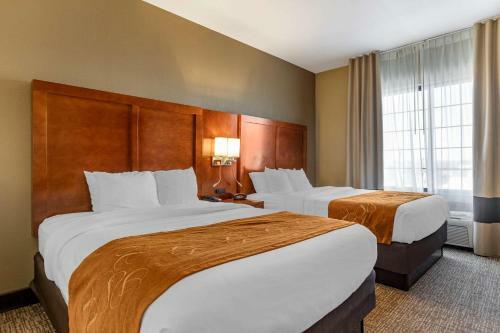 Hotel Comfort Suites Grand Rapids South