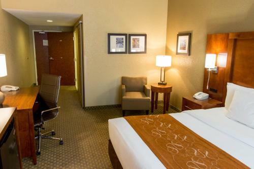 Hotel Comfort Suites Grand Rapids South