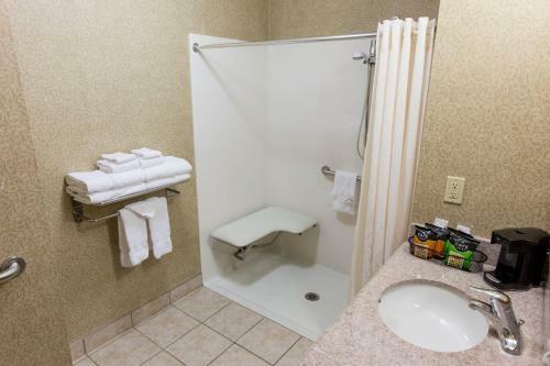 Hotel Comfort Suites Grand Rapids South