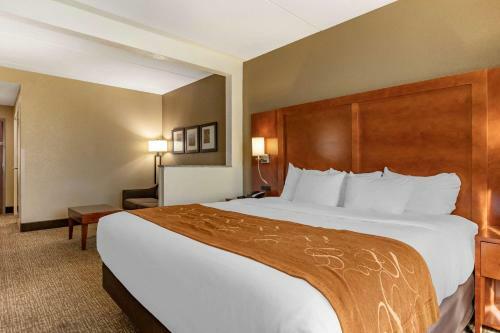 Hotel Comfort Suites Grand Rapids South