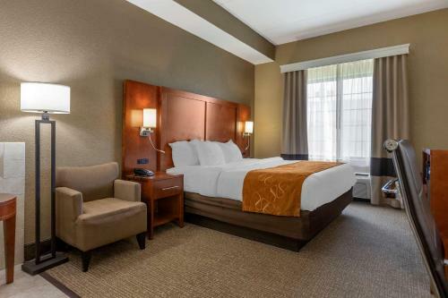 Hotel Comfort Suites Grand Rapids South