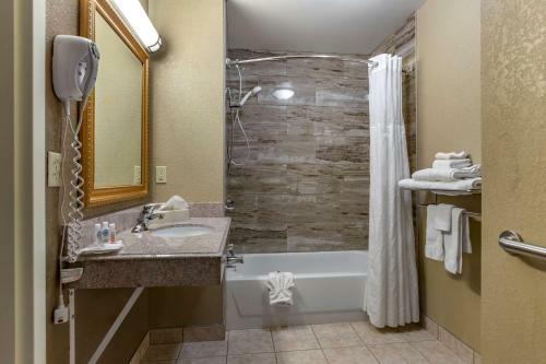 Hotel Comfort Suites Grand Rapids South
