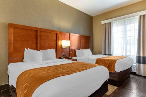 Hotel Comfort Suites Grand Rapids South