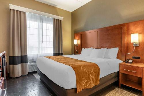 Hotel Comfort Suites Grand Rapids South