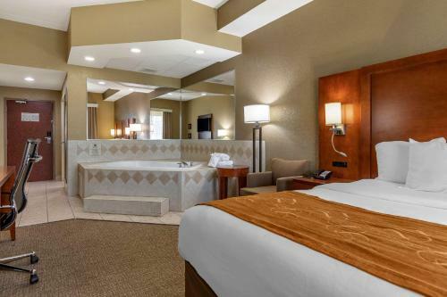 Hotel Comfort Suites Grand Rapids South