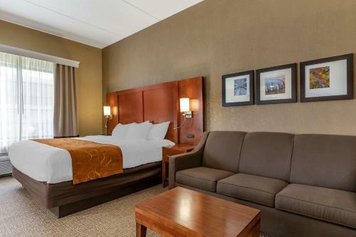 Hotel Comfort Suites Grand Rapids South
