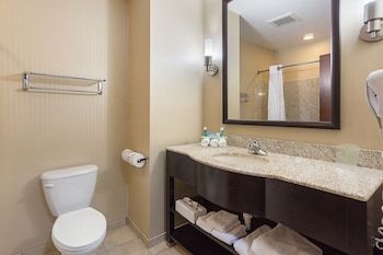 Holiday Inn Express Hotel & Suites Byram