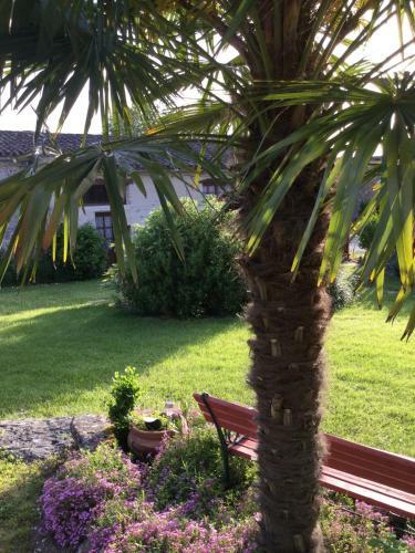 D�d� Des Figuiers