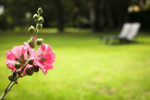 Bed & Breakfast La Belle Monsoise