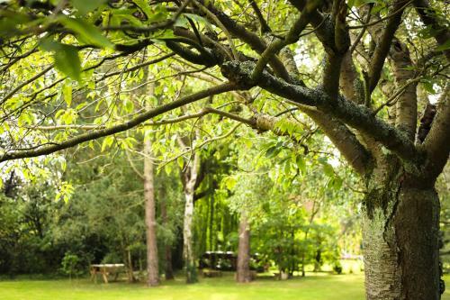 Bed & Breakfast La Belle Monsoise