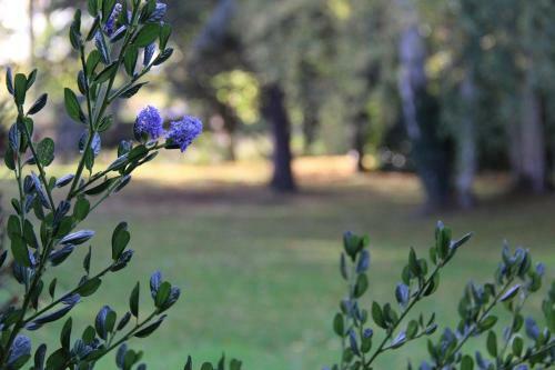 Bed & Breakfast La Belle Monsoise