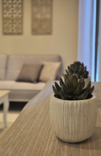 Hostal A L'or�e Des Vignes
