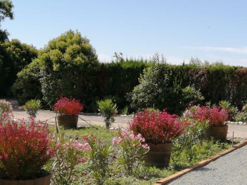 Hostal A L'or�e Des Vignes
