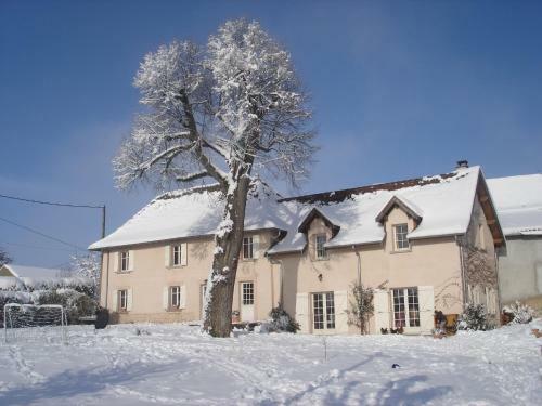 Bed & Breakfast Le Tilleul